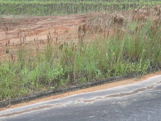 Venda em Três Rios do Norte - Jaraguá do Sul