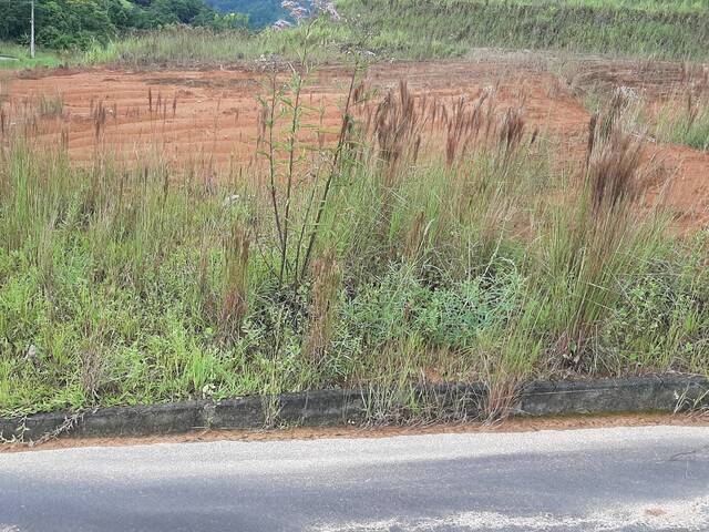 Venda em Três Rios do Norte - Jaraguá do Sul