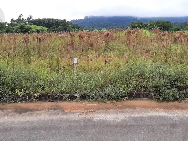#599 - Terreno para Venda em Jaraguá do Sul - SC - 1