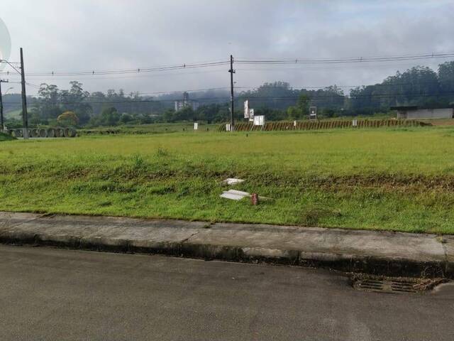 #608 - Terreno para Venda em Jaraguá do Sul - SC - 2