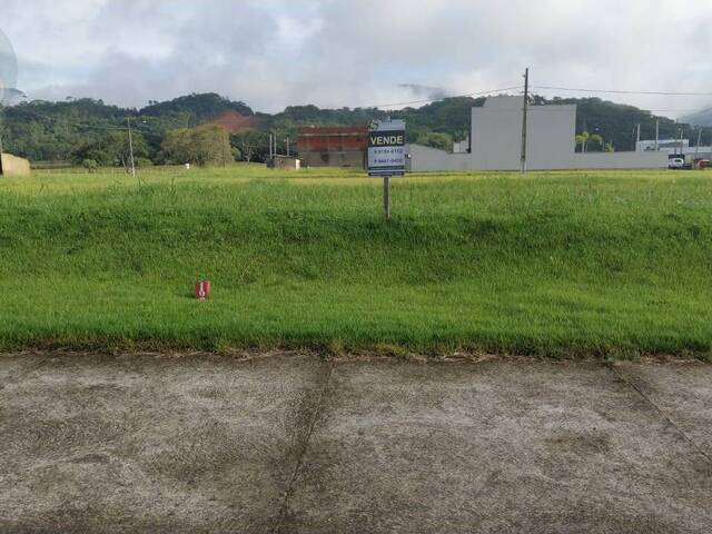 Venda em Três Rios do Norte - Jaraguá do Sul