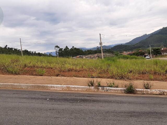 #649 - Terreno para Venda em Jaraguá do Sul - SC - 1