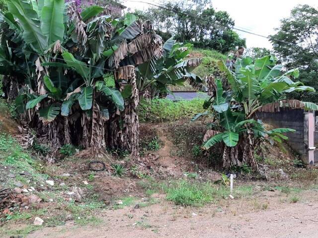 #660 - Terreno para Venda em Jaraguá do Sul - SC - 1