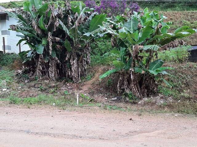#660 - Terreno para Venda em Jaraguá do Sul - SC - 2