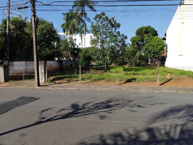 Venda em Baependi - Jaraguá do Sul