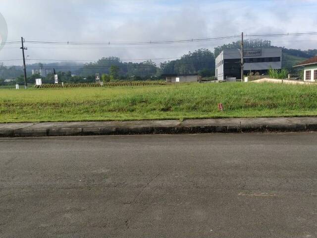 #617 - Terreno para Venda em Jaraguá do Sul - SC - 1