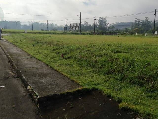 #617 - Terreno para Venda em Jaraguá do Sul - SC - 3