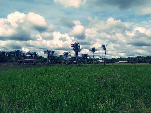 Venda em Purupuru - Careiro