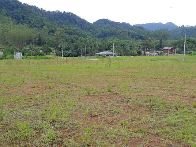 #960 - Terreno para Venda em Jaraguá do Sul - SC - 1