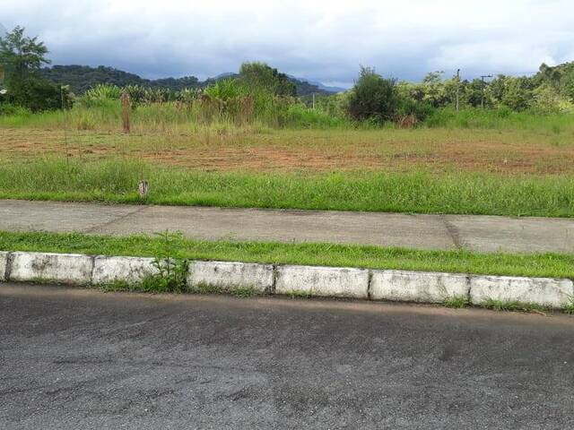 #961 - Terreno para Venda em Jaraguá do Sul - SC - 1