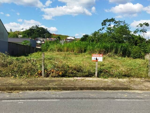 #981 - Terreno para Venda em Jaraguá do Sul - SC - 3