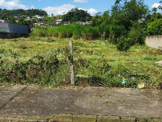 #981 - Terreno para Venda em Jaraguá do Sul - SC - 2