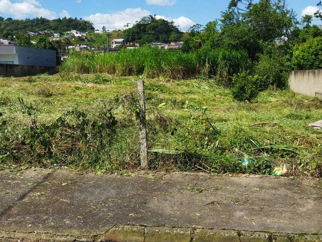 #981 - Terreno para Venda em Jaraguá do Sul - SC - 2