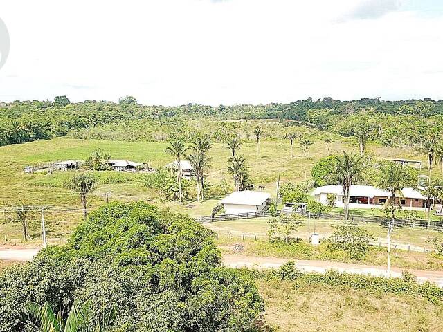 #936 - Fazenda para Venda em Careiro - AM - 1