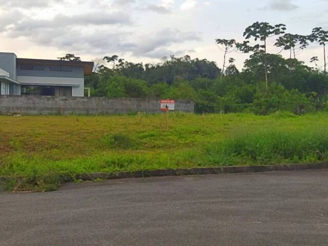 #1000 - Terreno para Venda em Jaraguá do Sul - SC - 3