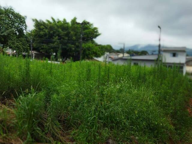 #1005 - Terreno para Venda em Jaraguá do Sul - SC