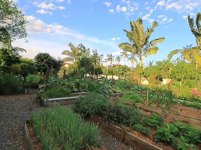 Terreno para Venda em Jaraguá do Sul - 5