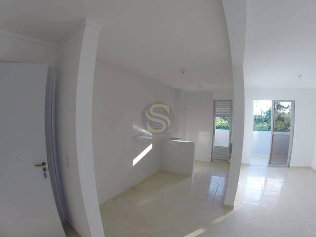 #850 - Apartamento para Venda em Jaraguá do Sul - SC - 1