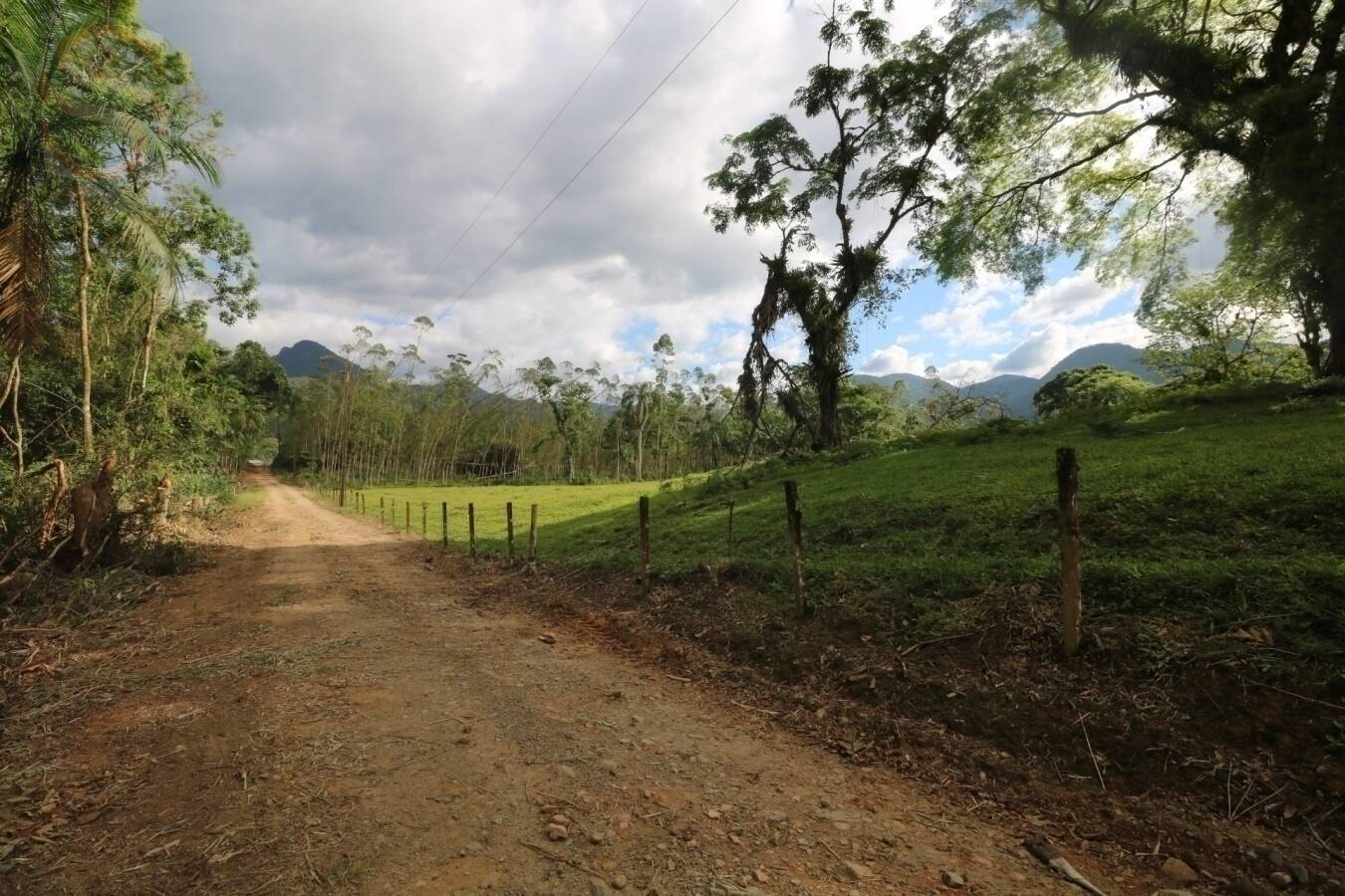 Chácara à venda com 4 quartos, 126250m² - Foto 6