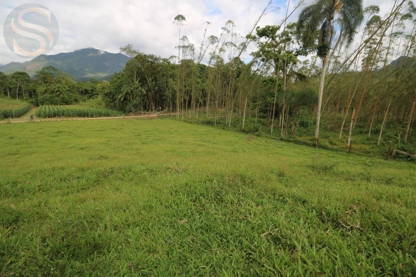 Chácara à venda com 4 quartos, 126250m² - Foto 11