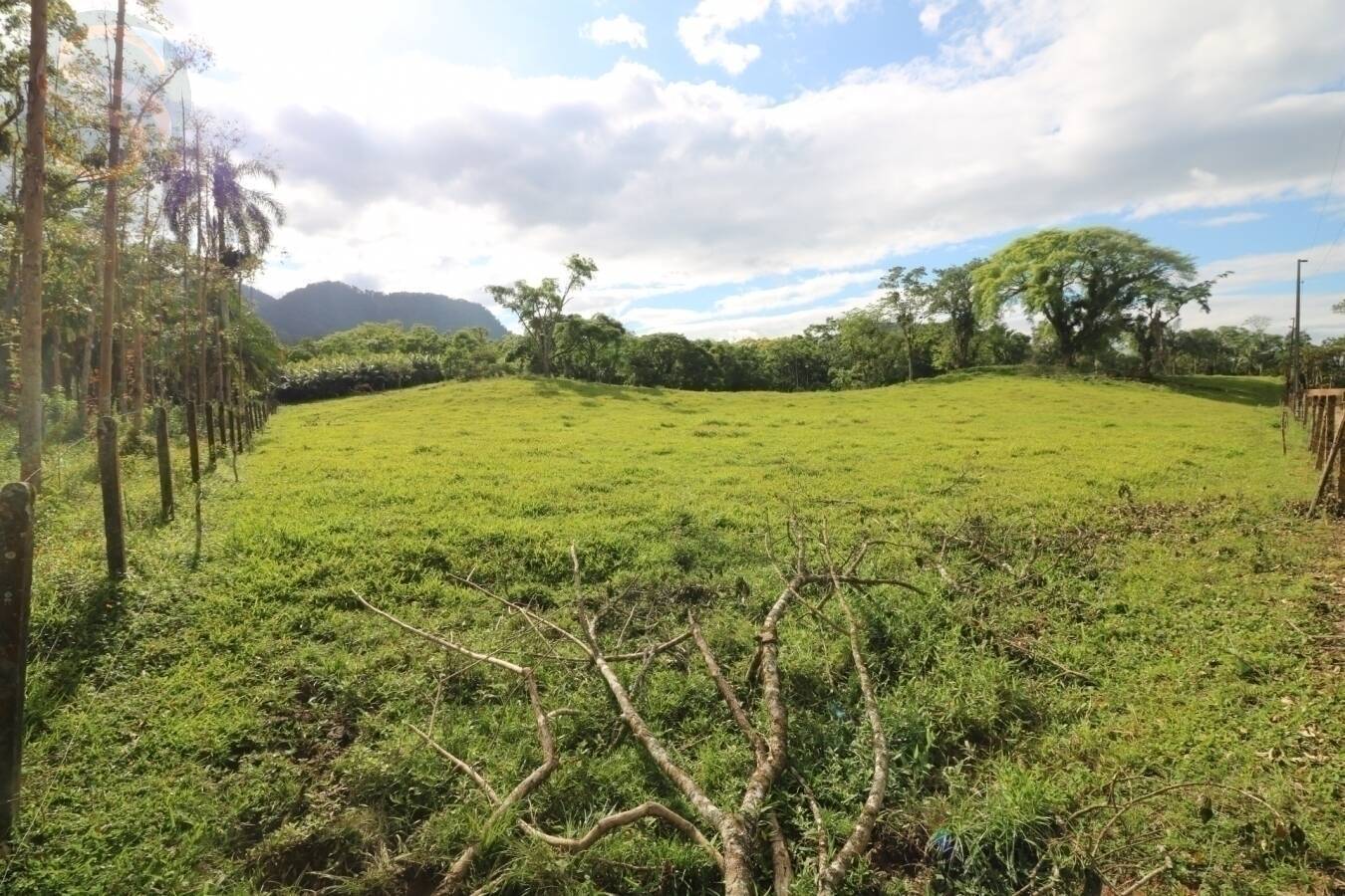 Chácara à venda com 4 quartos, 126250m² - Foto 8