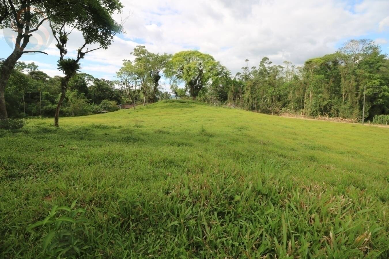 Chácara à venda com 4 quartos, 126250m² - Foto 10
