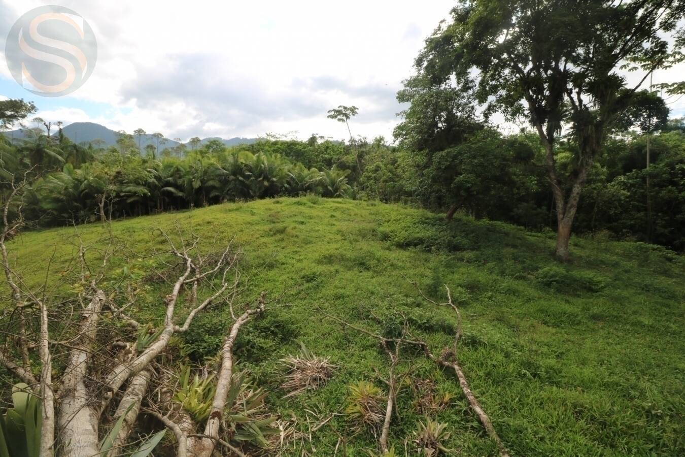 Chácara à venda com 4 quartos, 126250m² - Foto 14