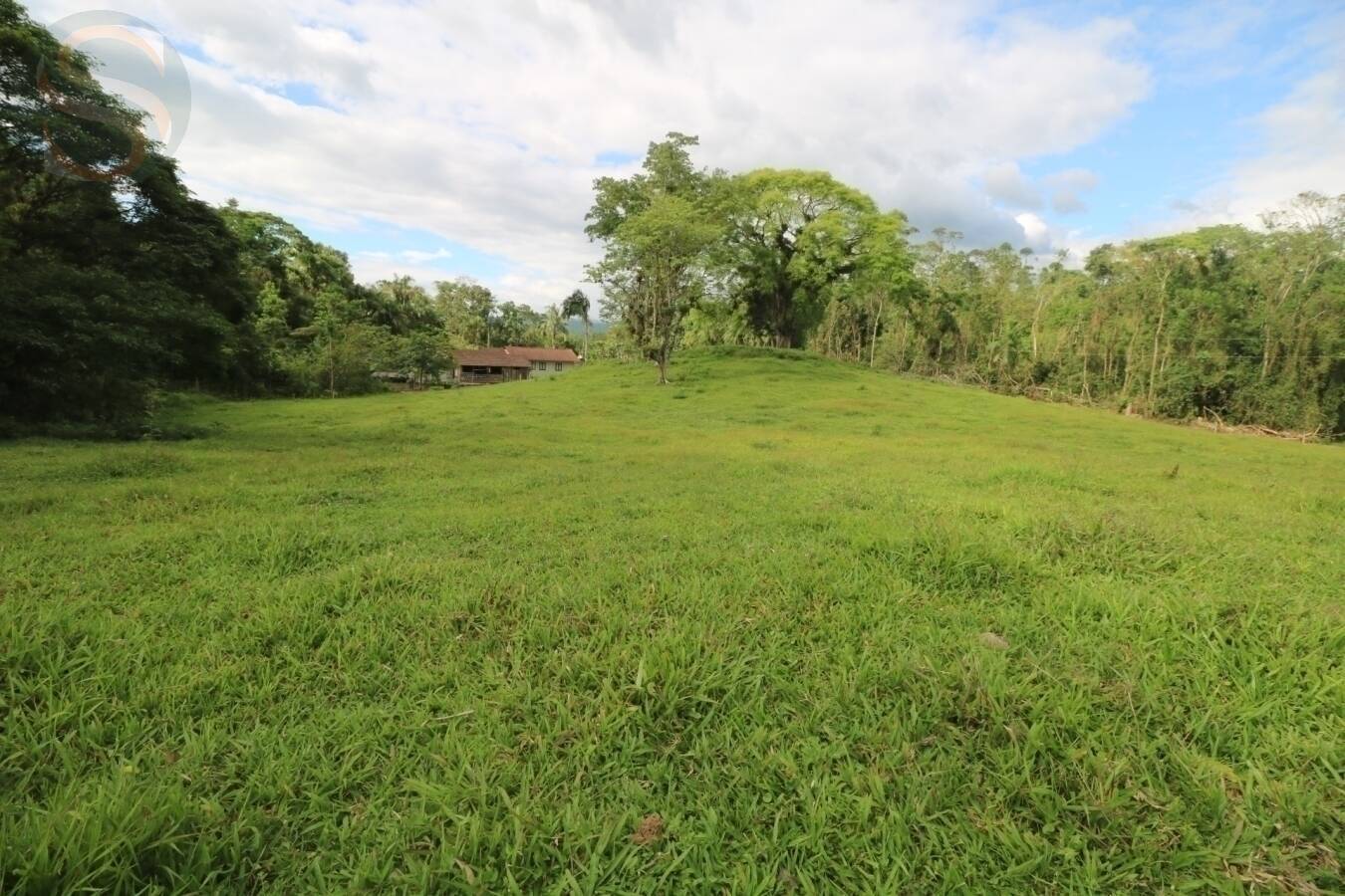Chácara à venda com 4 quartos, 126250m² - Foto 12