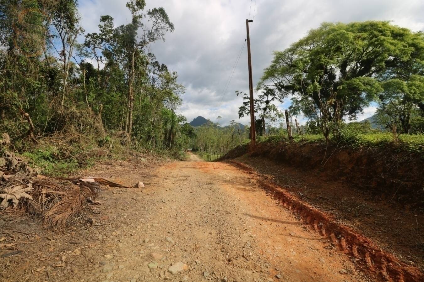 Chácara à venda com 4 quartos, 126250m² - Foto 5
