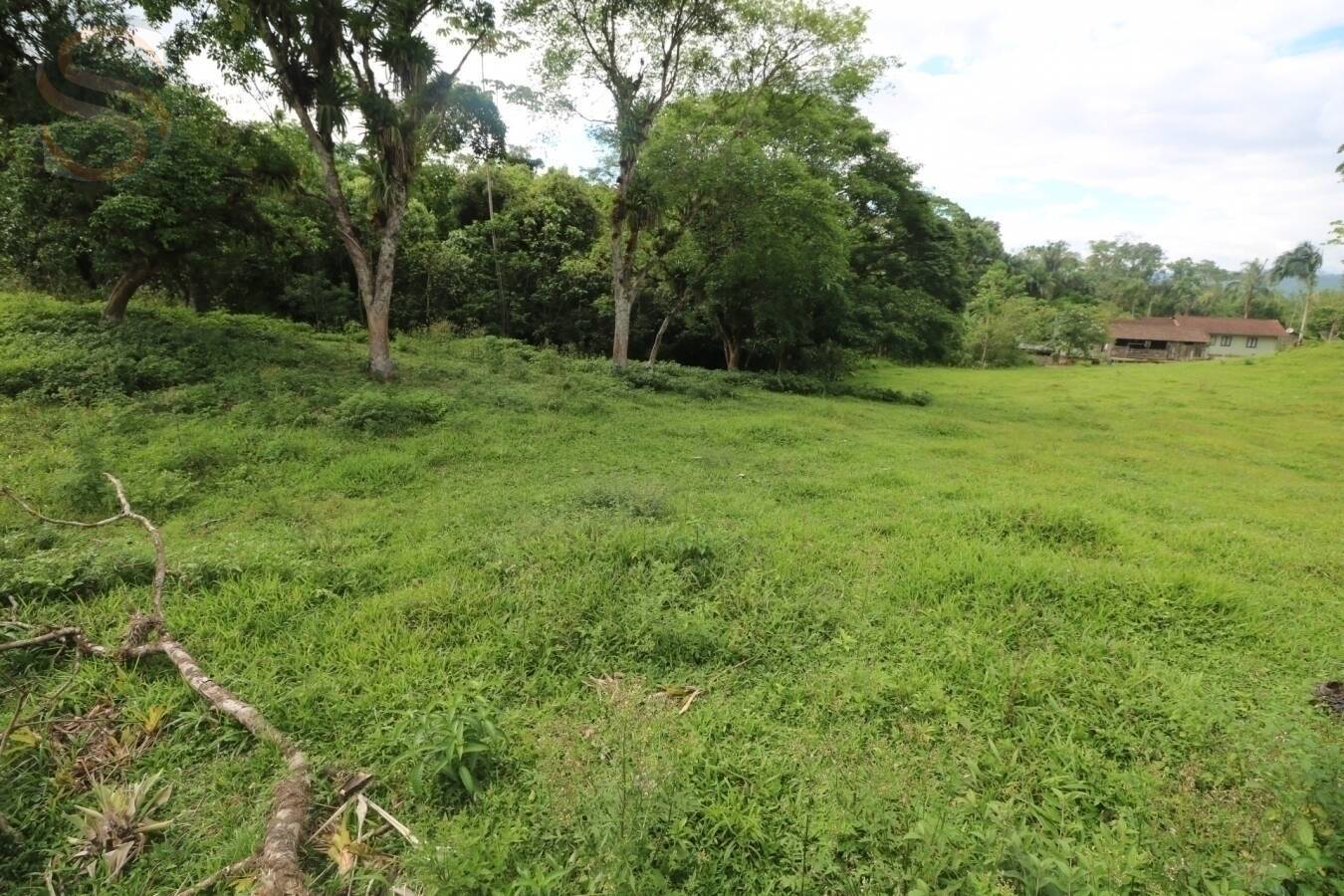 Chácara à venda com 4 quartos, 126250m² - Foto 13
