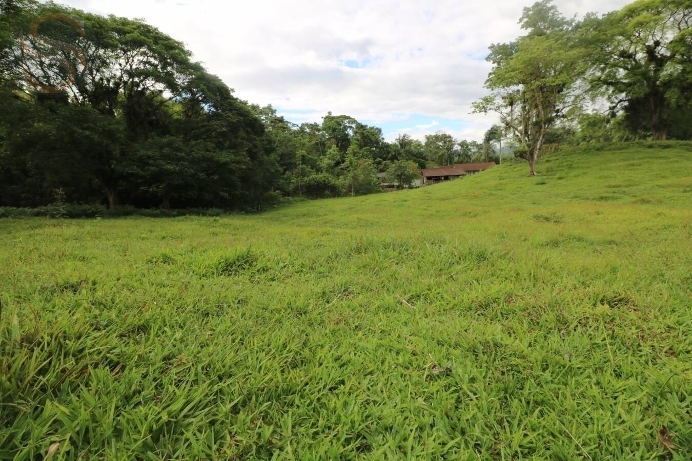 Chácara à venda com 4 quartos, 126250m² - Foto 15
